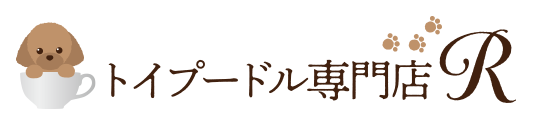 トイプードル専門店R