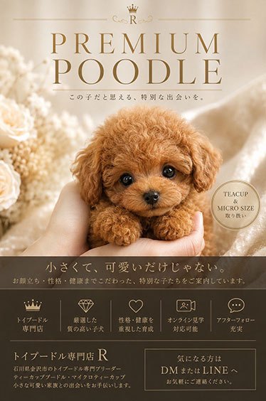 トイプードル専門店R
